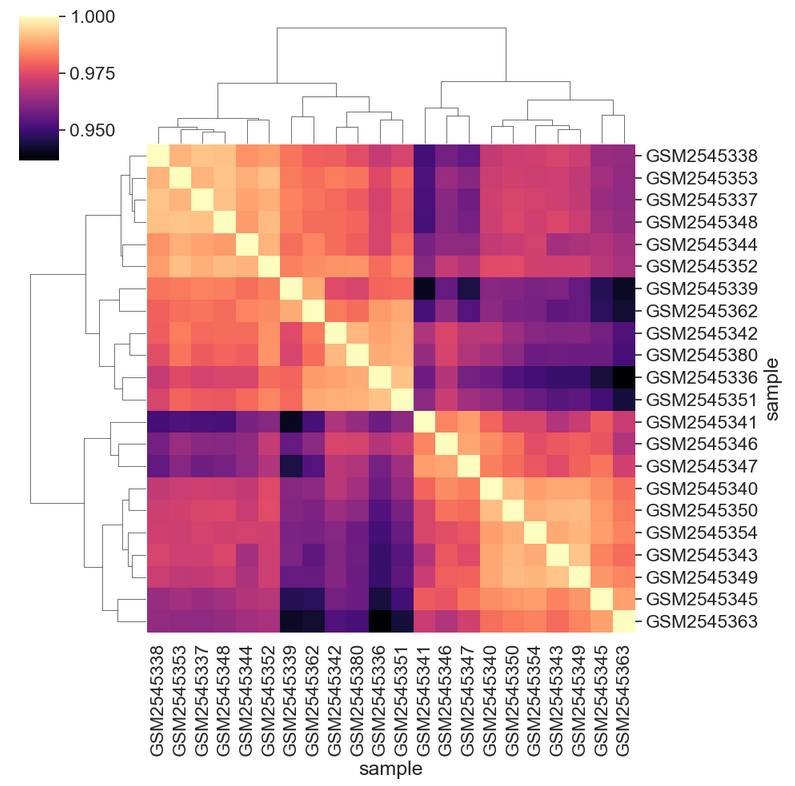 Using magma colormap