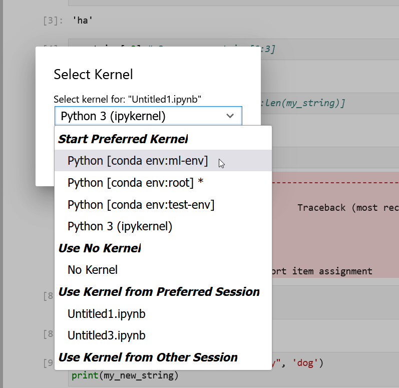 Selecting conda kernels in Jupyer Lab