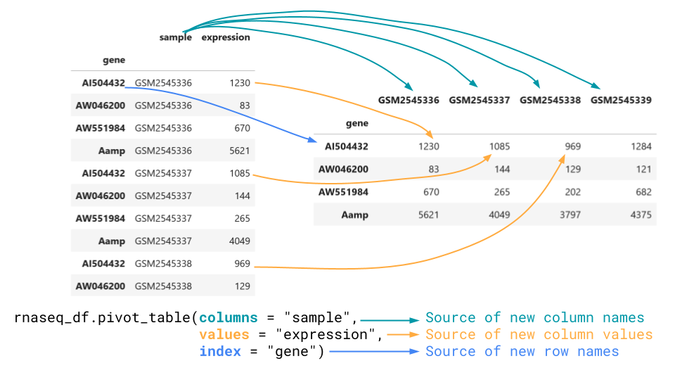 Pivot_table goes from long to wide